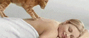 给美女按摩的喵星人 - A meow man massaged to a beautiful woman